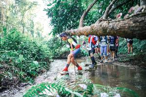 BIB: 
                            <button type="button" onclick="openModal(25465005)" class="btn btn-primary btn-sm float-right btn-popup" data-toggle="modal" data-target=".modal-high-quality">
                        <i class="fas fa-shopping-cart"></i> Add to Cart
                    </button>
                                            <button type="button" onclick="isThisMe(25465005, true)" class="btn btn-success btn-sm float-right btn-popup btn-isme hidden" data-toggle="tooltip" data-placement="bottom" title="นี่คือรูปของคุณใช่ไหม คลิกที่นี่เพื่อเอาเข้าอัลบั้ม">
                        <i class="fas fa-plus"></i> Add to album
                    </button>
                    <button type="button" onclick="isThisMe(25465005, false)" class="btn btn-warning btn-sm float-right btn-popup btn-isnotme hidden">
                        <i class="fas fa-ban"></i> Remove from album
                    </button>